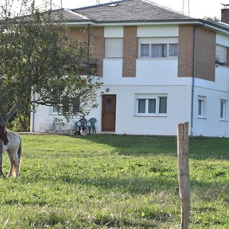 La Chabola Daire Sobarzo Dış mekan fotoğraf